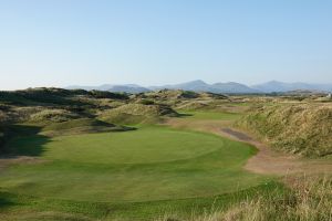 Royal St Davids 15th Back